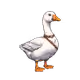 714