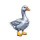 3797