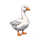 6690