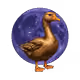 2232