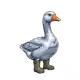 6237