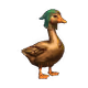 4848