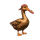 6291
