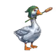 Gen1 Duck #6518
