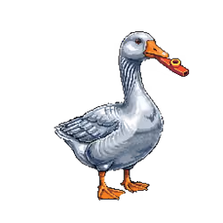 6194
