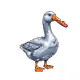 Gen1 Duck #6194