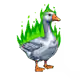 6903