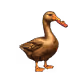 5668