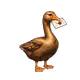 3593