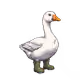 142