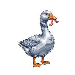 5726