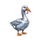 526