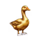 Gen1 Duck #6517