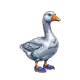 4416