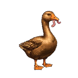 6675