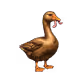 2469