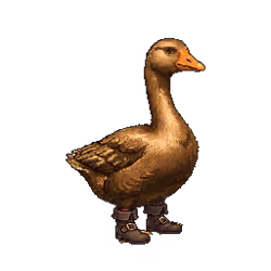 1804