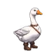 4293