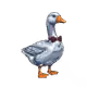 5627