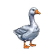 Gen1 Duck #6072