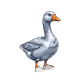 Genesis Duck #4847