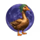 Genesis Duck #4476
