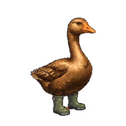 Genesis Duck #4223