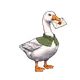 6562