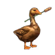 Genesis Duck #4670