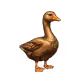 5671