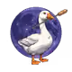 704