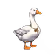 3605