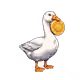 6231