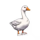 841