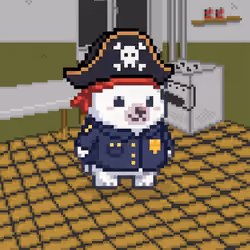 1555