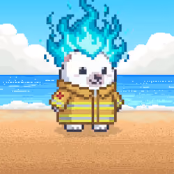 904