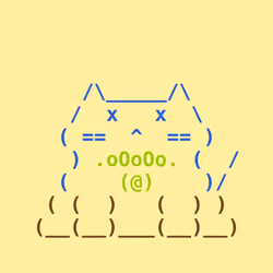 CAT #2997