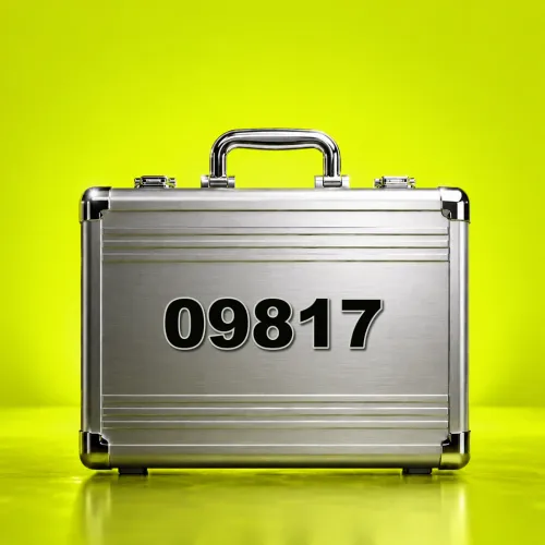 Item #9817 Media