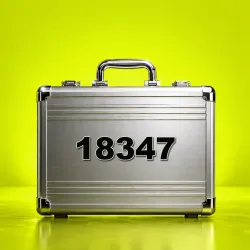 Case Flip #18347