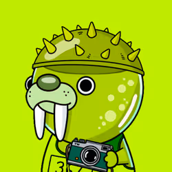 Item Media