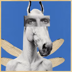 #221