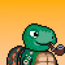 Turtle Fees #9994