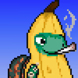 7961