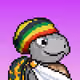 Turtle Fees #9582