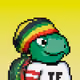 Turtle Fees #1682