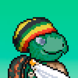 Turtle Fees #15
