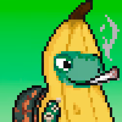 Turtle Fees #3745