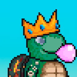 Turtle Fees #5782