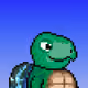 Turtle Fees #8439