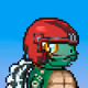 Turtle Fees #5814